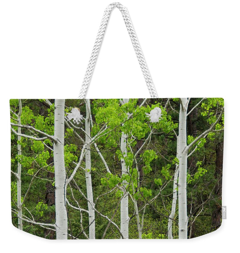 South Dakota Weekender Tote Bag featuring the photograph Aspens by Larry Bohlin
