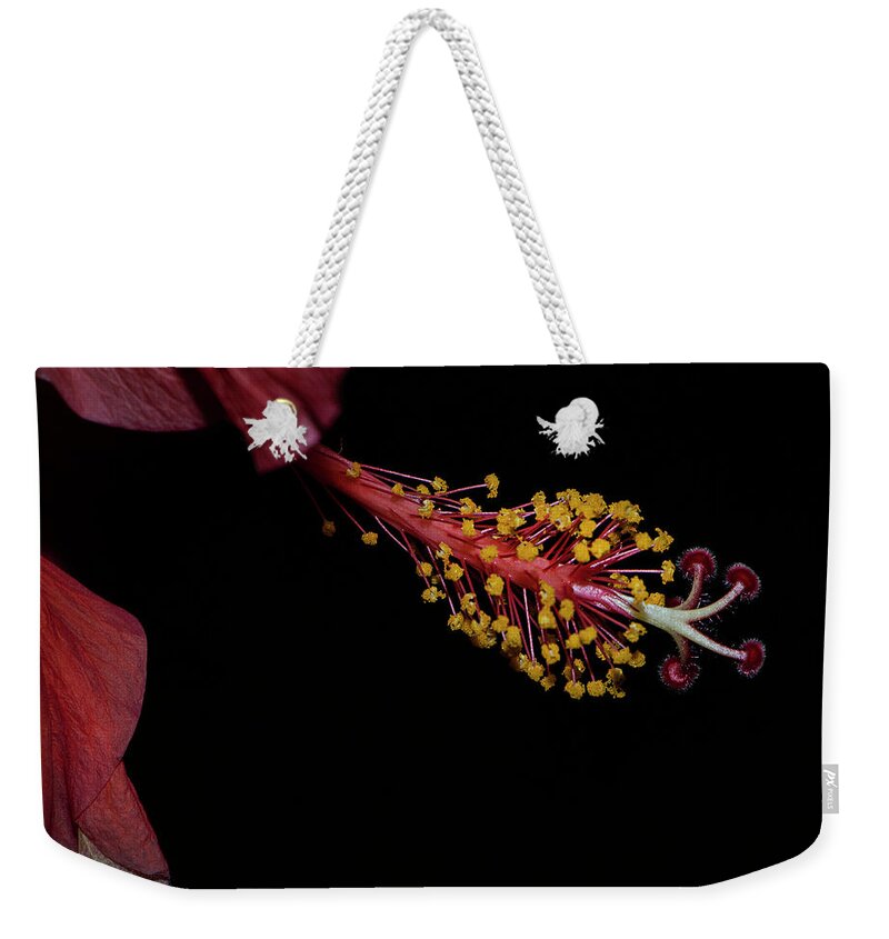 Hibiscus Weekender Tote Bag featuring the photograph At Dusk by M Kathleen Warren