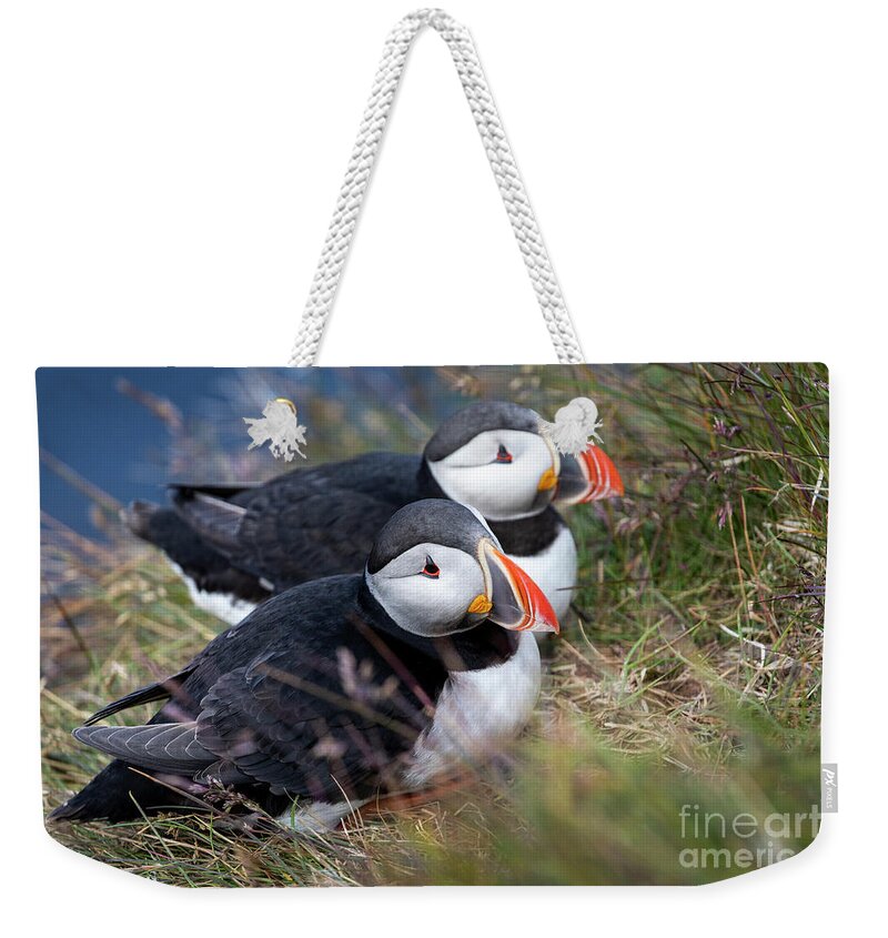 Photography Weekender Tote Bag featuring the photograph Atlantic Puffin Love by Erin Marie Davis