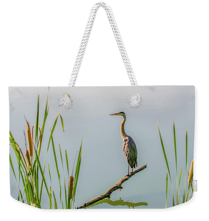 Tennessee Weekender Tote Bag featuring the photograph August Morning Contemplations by Marcy Wielfaert