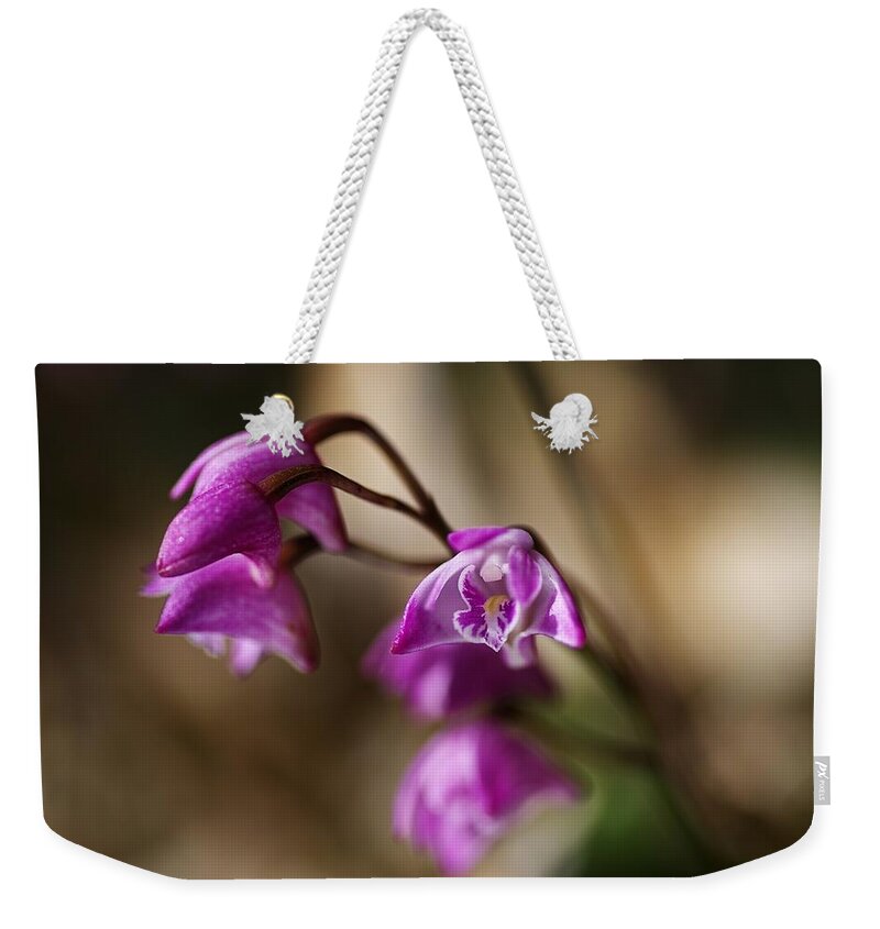 Dendrobium Weekender Tote Bag featuring the photograph Australia's Native Orchid Small Dendrobium by Joy Watson