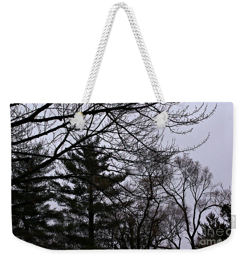 Landscape Weekender Tote Bag featuring the photograph Authentic Expression by Frank J Casella