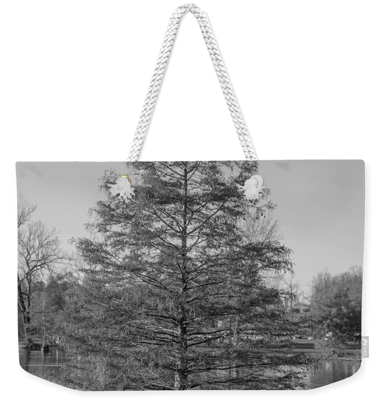 4763 Weekender Tote Bag featuring the photograph Autmn Tree by FineArtRoyal Joshua Mimbs