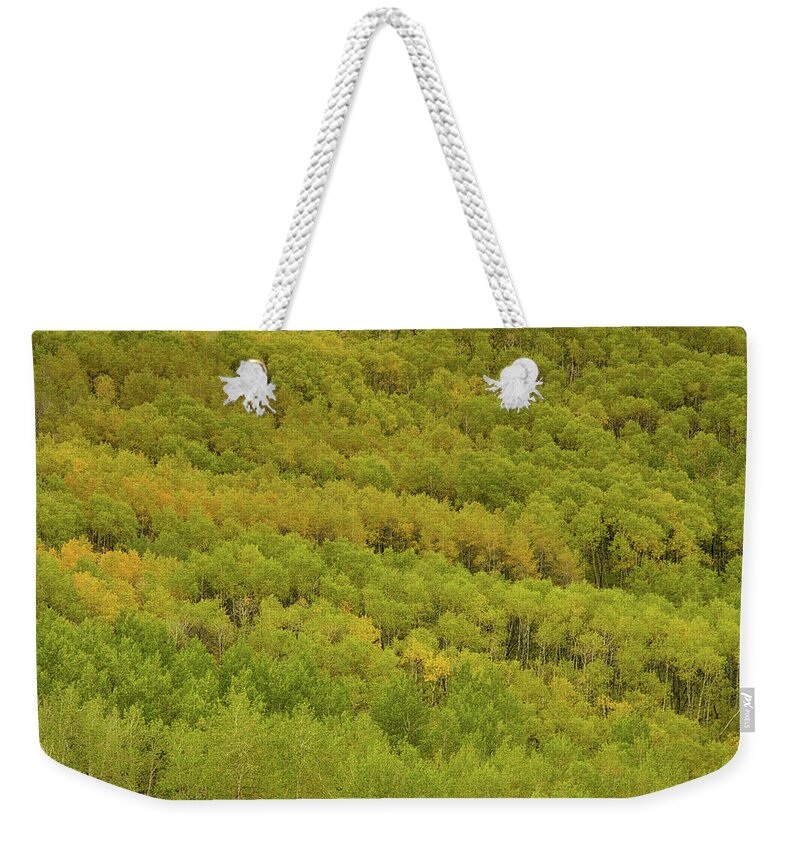 Steens Mountain Weekender Tote Bag featuring the photograph Autumn along Steens mountain by Kunal Mehra