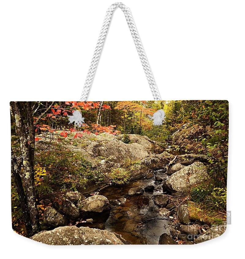 Landscape Weekender Tote Bag featuring the photograph Autumn at Dry Creek by Larry Ricker