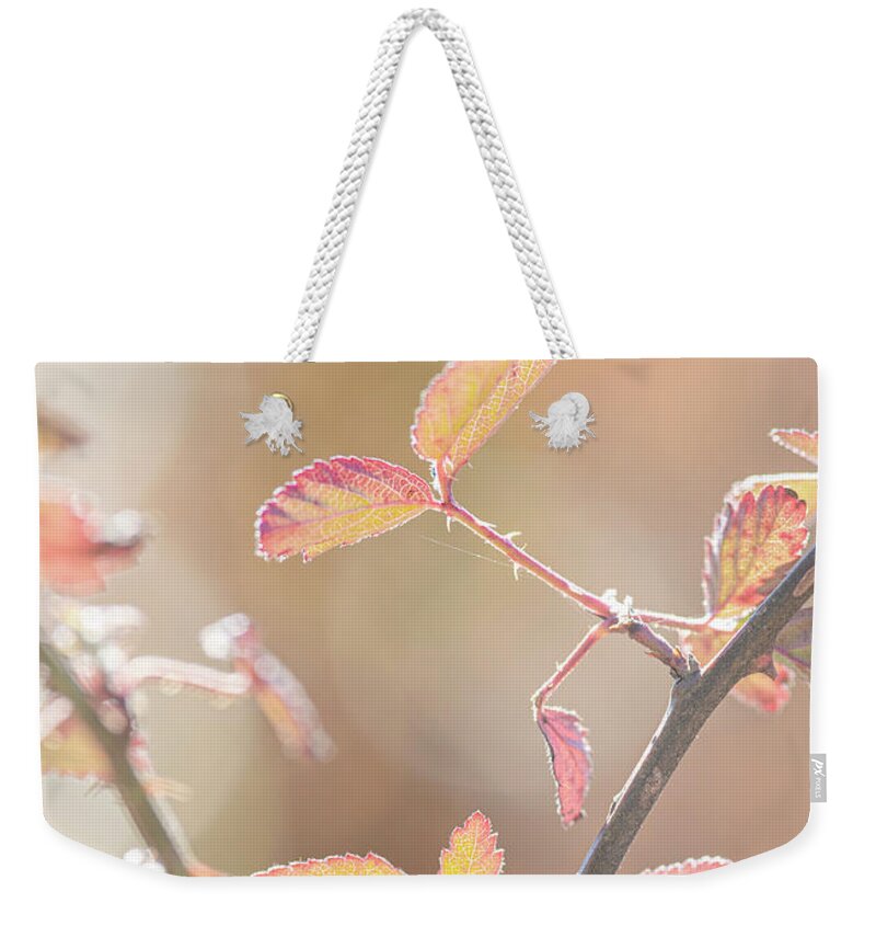 Bramble Weekender Tote Bag featuring the photograph Autumn Bramble Leaves by Phil And Karen Rispin