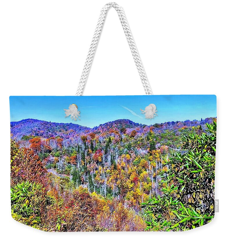 Autumn Weekender Tote Bag featuring the photograph Autumn Colors by Allen Nice-Webb