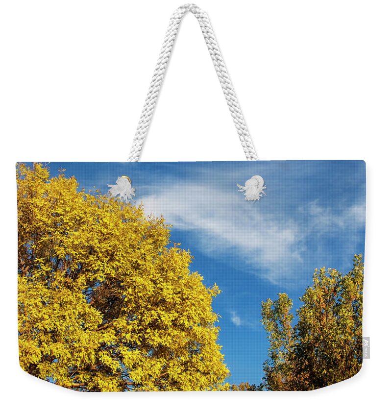 Autumn Weekender Tote Bag featuring the photograph Autumn Days are Here by Steve Sullivan
