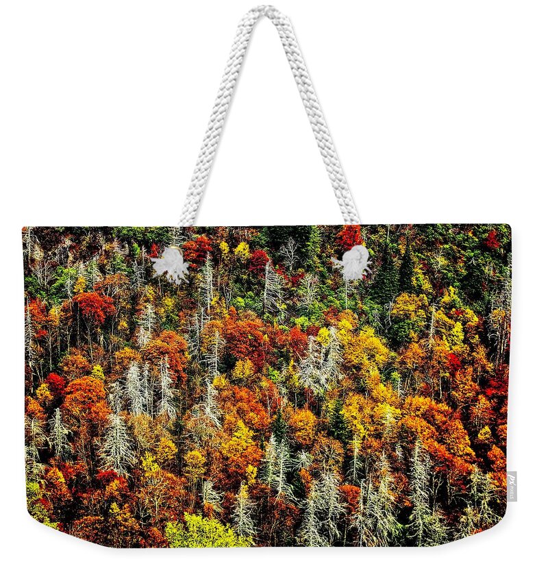 Autumn Weekender Tote Bag featuring the photograph Autumn Diversity by Allen Nice-Webb