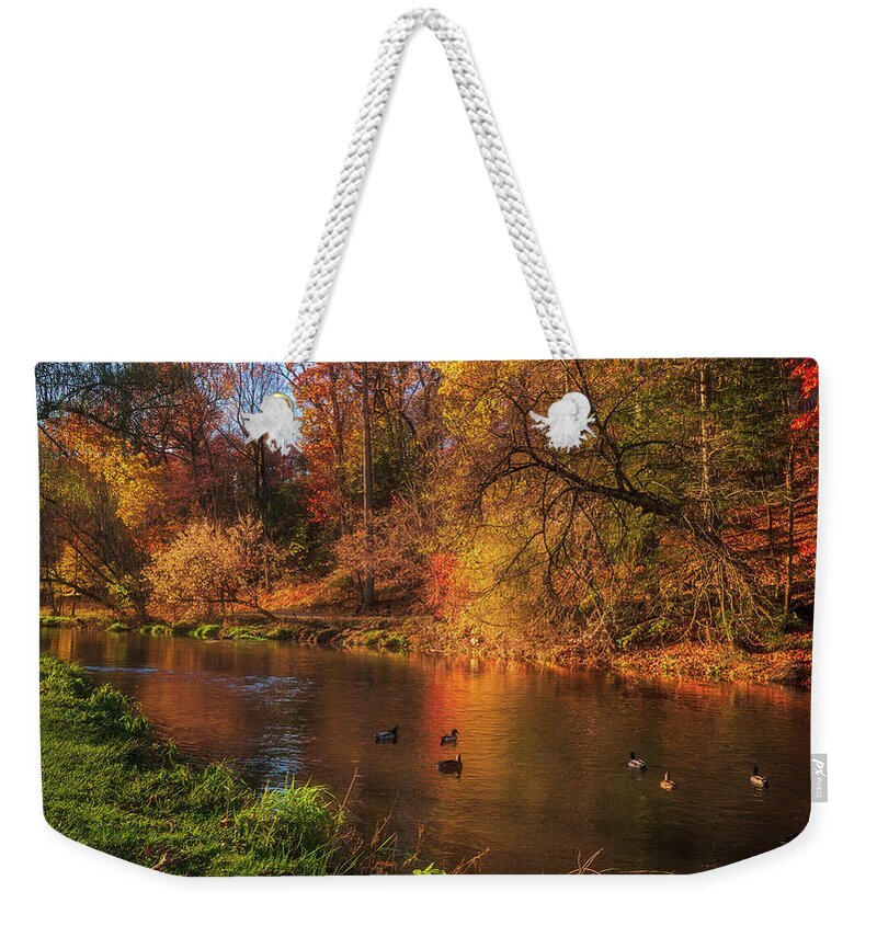 Lehigh Parkway Weekender Tote Bag featuring the photograph Autumn Ducks on the Little Lehigh Creek by Jason Fink