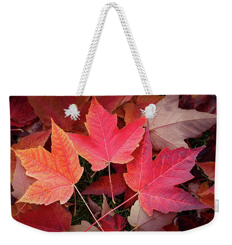 Nature Weekender Tote Bag featuring the digital art Autumn / Fall leaves Painting by Rick Deacon