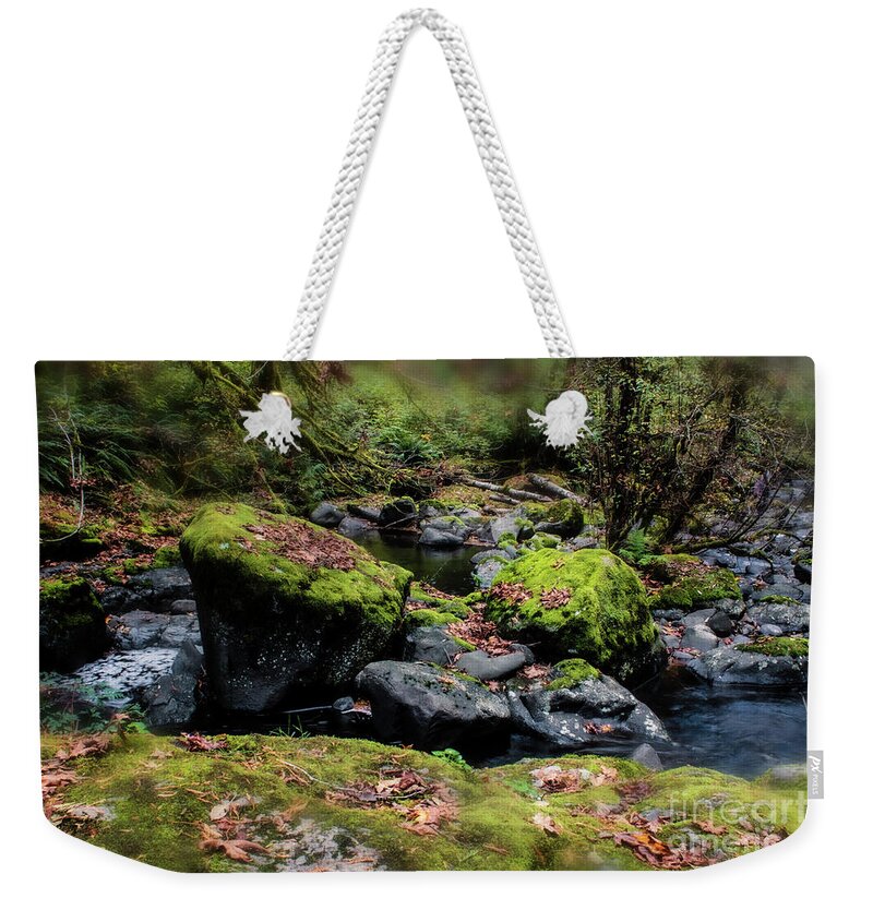 Oregon Waterfalls Weekender Tote Bag featuring the photograph Autumn Fantasy Land 6- Sweet Creek Falls by Janie Johnson