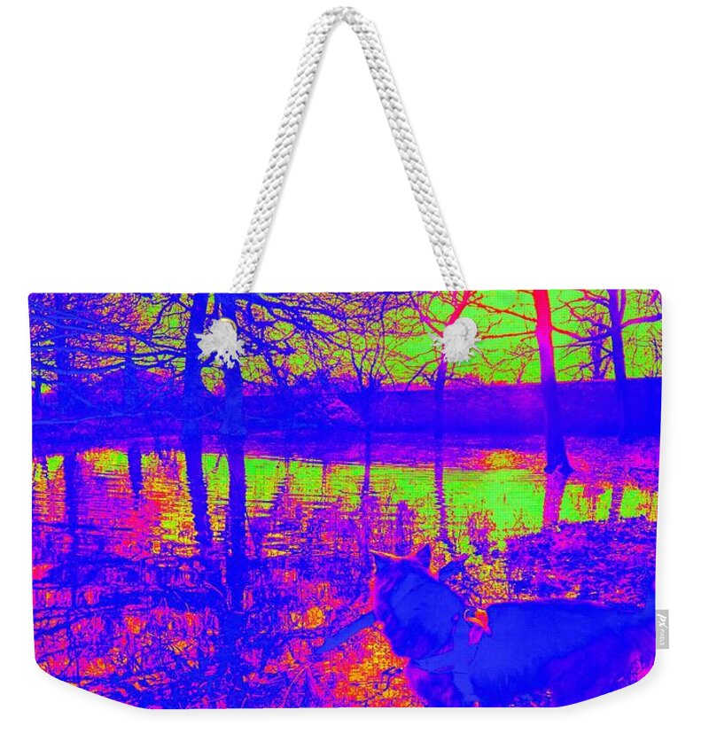 Landscape Weekender Tote Bag featuring the photograph Autumn Floods at Badgery Creek by VIVA Anderson