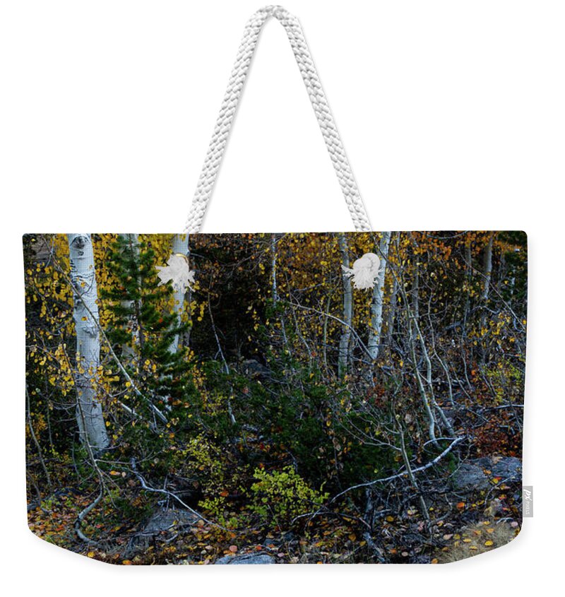 North America Weekender Tote Bag featuring the photograph Autumn Foliage in the Sierras by Mark Miller