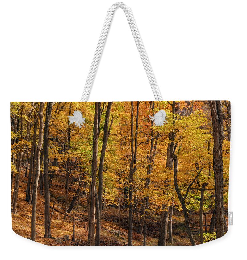 Hiking Weekender Tote Bag featuring the photograph Autumn Forest Masking The Signature Series by Angelo Marcialis