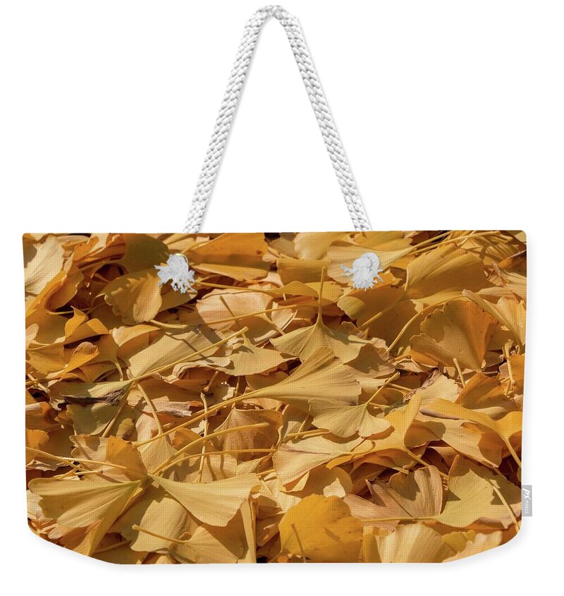 Ginkgo Weekender Tote Bag featuring the photograph Autumn Ginkgo Leaves by Liza Eckardt