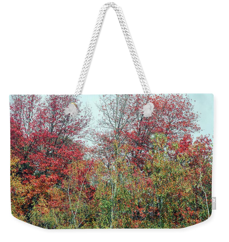 Autumn Weekender Tote Bag featuring the photograph Autumn Glory by Elaine Teague