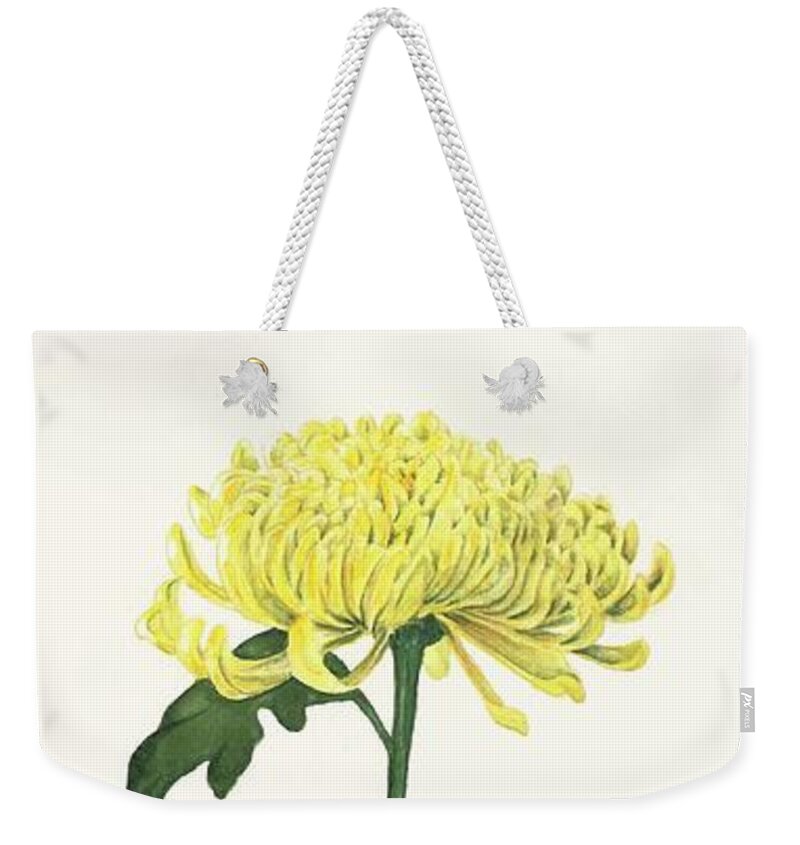Yellow Weekender Tote Bag featuring the painting Autumn Gold by Albert Massimi