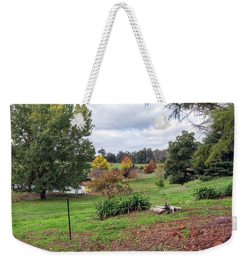 Autumn Weekender Tote Bag featuring the photograph Autumn in the Garden 5 by Elaine Teague