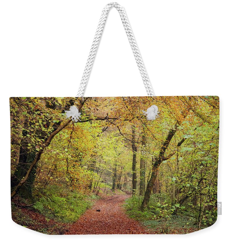 Cardiff Weekender Tote Bag featuring the photograph Autumn, in a nutshell by Gavin Lewis
