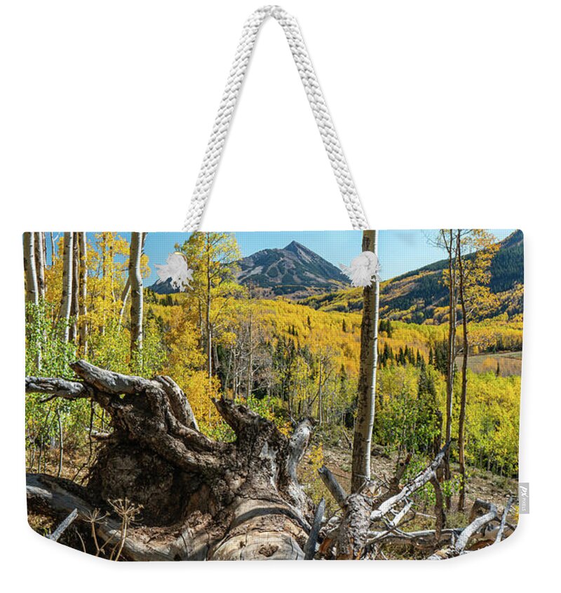 Aspens Weekender Tote Bag featuring the photograph Autumn in Gothic Valley 3 by Ron Long Ltd Photography