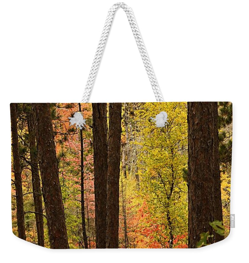 Landscape Weekender Tote Bag featuring the photograph Autumn in Hiding by Larry Ricker