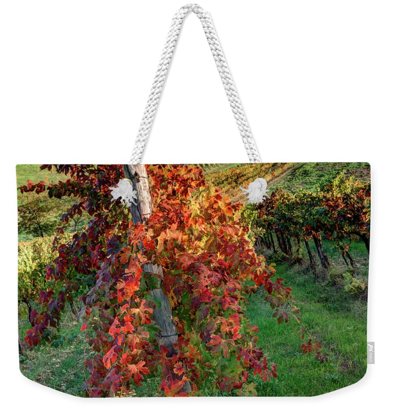 Agriculture Weekender Tote Bag featuring the photograph Autumn in the Vineyard by Eggers Photography