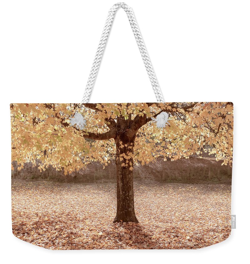 Carolina Weekender Tote Bag featuring the photograph Autumn is Country Golden by Debra and Dave Vanderlaan