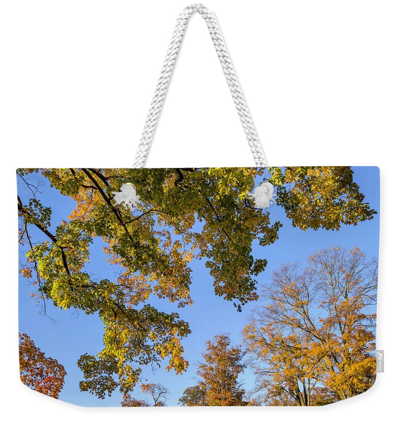 Autumn Weekender Tote Bag featuring the photograph Autumn Landscape III Color by David Gordon