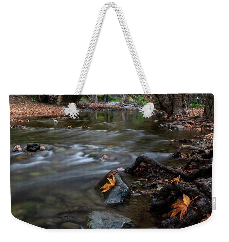 Autumn Weekender Tote Bag featuring the photograph Autumn landscape with river flowing under a stoned bridge by Michalakis Ppalis