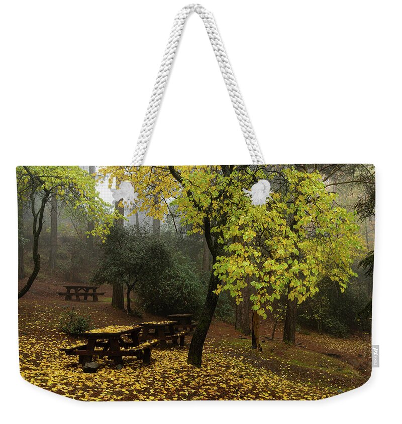 Autumn Weekender Tote Bag featuring the photograph Autumn landscape with trees and yellow leaves on the ground after rain by Michalakis Ppalis