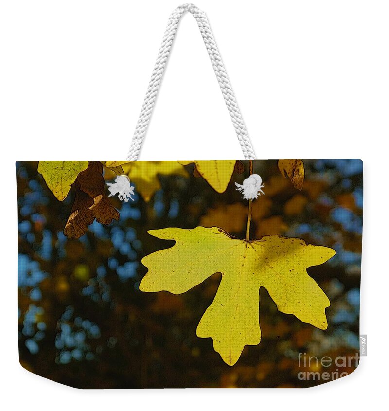 Art Weekender Tote Bag featuring the photograph Autumn Leaves 22 by Jean Bernard Roussilhe