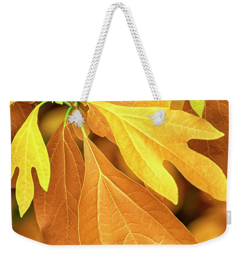 Autumn Leaves Weekender Tote Bag featuring the photograph Autumn Leaves by Christina Rollo