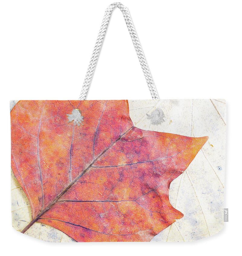 Autumn Weekender Tote Bag featuring the photograph Autumn leaves composition by Viktor Wallon-Hars