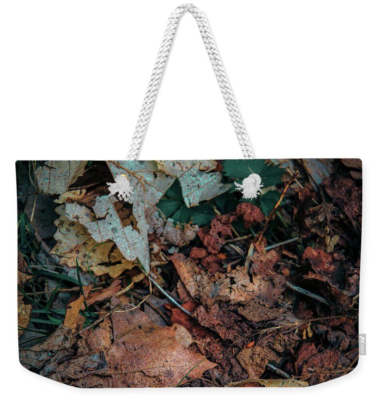 Dry Autumn Leaves Weekender Tote Bag featuring the photograph Autumn Leaves in the Spring by Deb Beausoleil