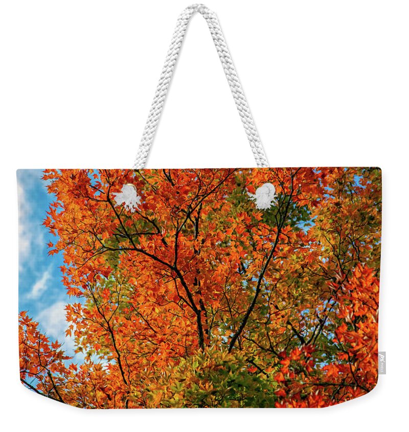 Autumn Orange Weekender Tote Bag featuring the photograph Autumn Orange by Jaki Miller