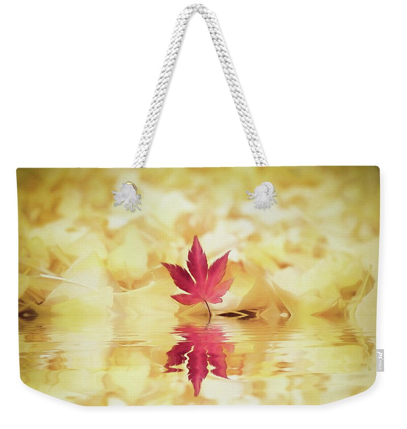 Autumn Weekender Tote Bag featuring the photograph Autumn by Philippe Sainte-Laudy