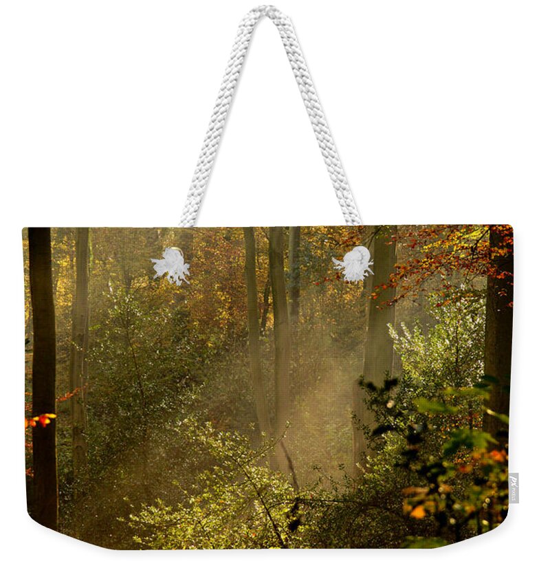 November Weekender Tote Bag featuring the photograph Autumn Rays 2021 by Richard Cummings