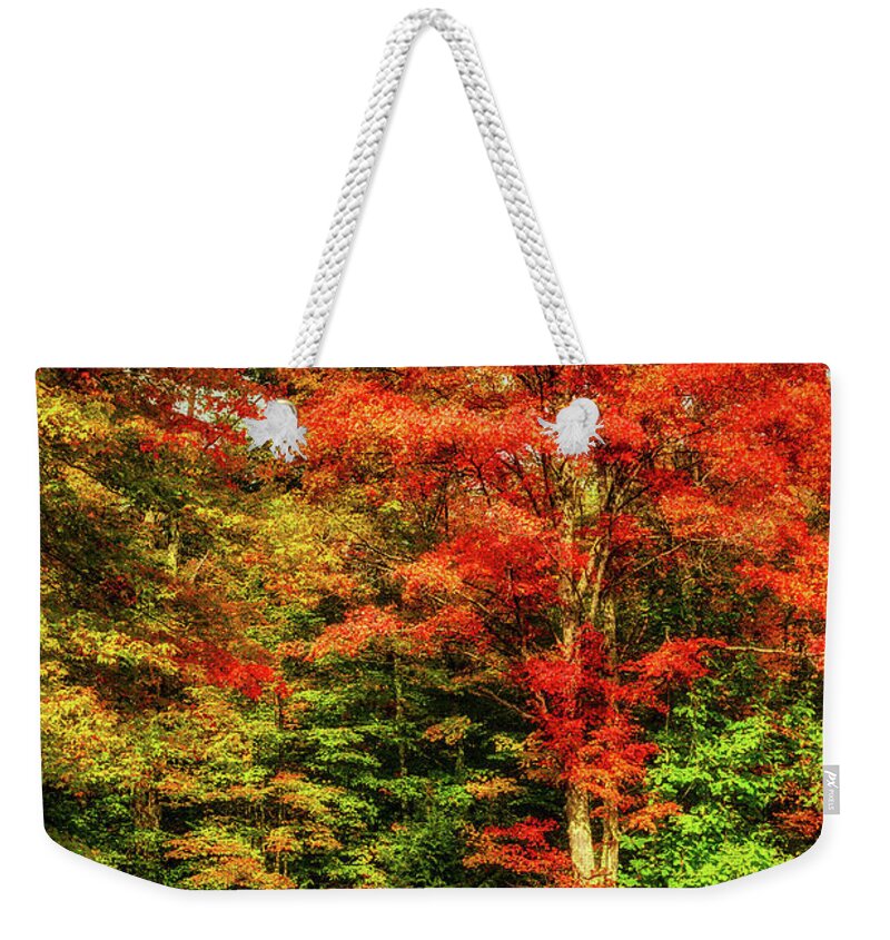 Fall Weekender Tote Bag featuring the photograph Autumn Red Tree Gold Ferns by Dan Carmichael
