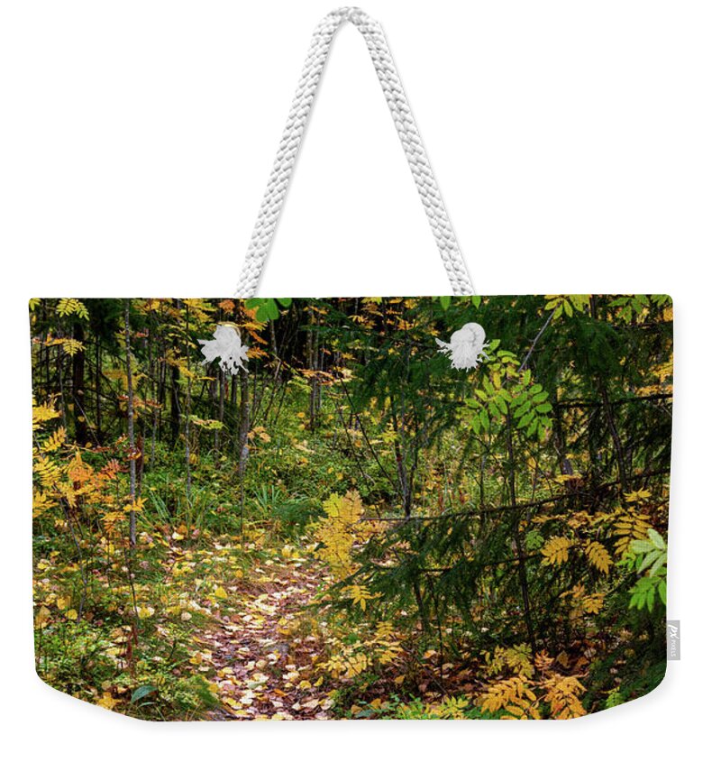 Autumn Weekender Tote Bag featuring the photograph Autumn season forest landscape. Nature footpath in the forest by Michalakis Ppalis