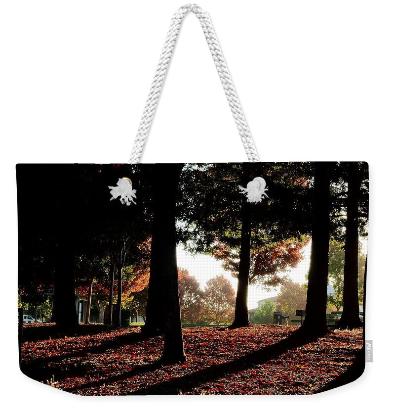 City Park Weekender Tote Bag featuring the photograph Autumn Silent Beauty by Richard Thomas