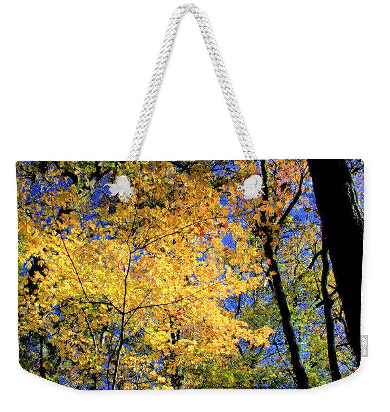 Autumn Weekender Tote Bag featuring the photograph Autumn Splendor by Steve Ember