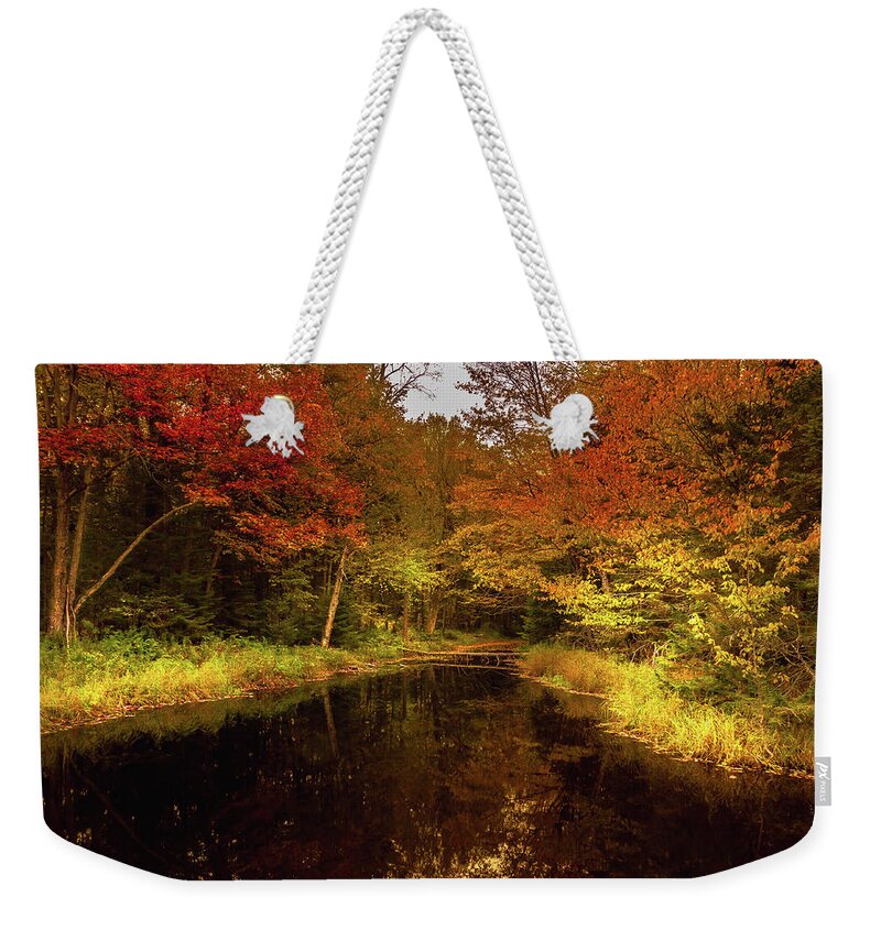 Autumn Stream Weekender Tote Bag featuring the photograph Autumn Stream by David Patterson