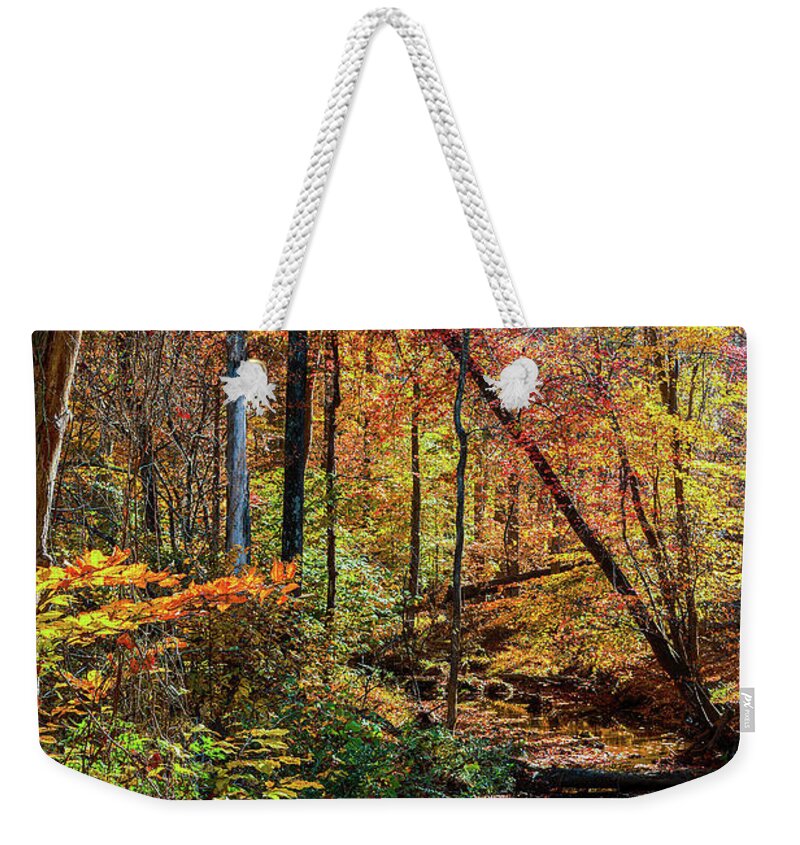Autumn Weekender Tote Bag featuring the digital art Autumn Stream Reflections by Linda Ritlinger