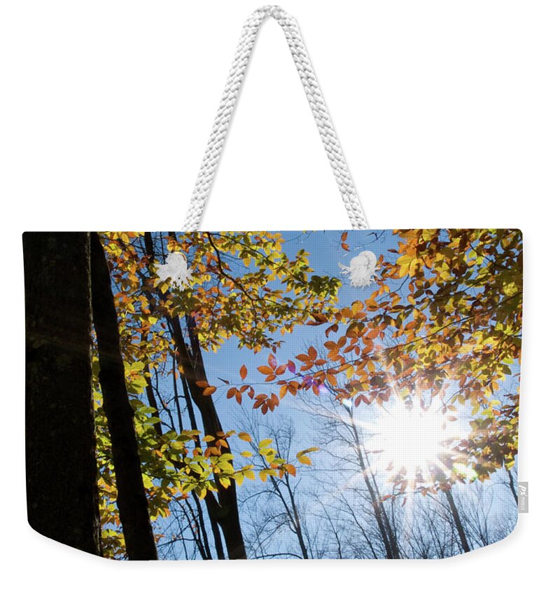 Nature Weekender Tote Bag featuring the photograph Autumn Sunstar 6 by Dorothy Lee