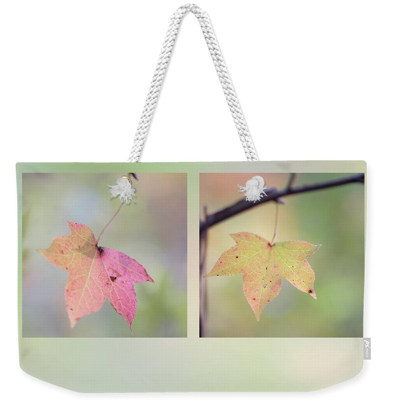Liquidambar Weekender Tote Bag featuring the photograph Autumn Sweetgum by Karen Rispin