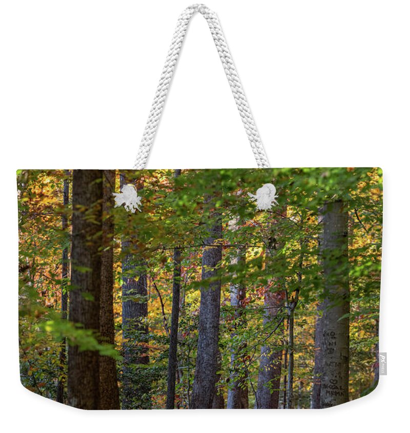 Park Weekender Tote Bag featuring the photograph Autumn Trail by Rachel Morrison