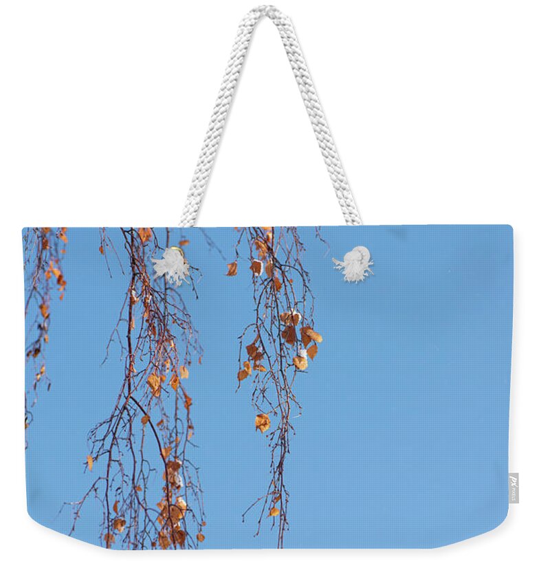 Autumn Weekender Tote Bag featuring the photograph Autumn Weeping Birch by Phil And Karen Rispin