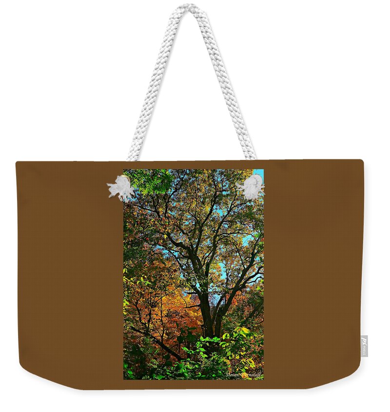 Forest Weekender Tote Bag featuring the photograph Autumnal Bliss by Steve Warnstaff