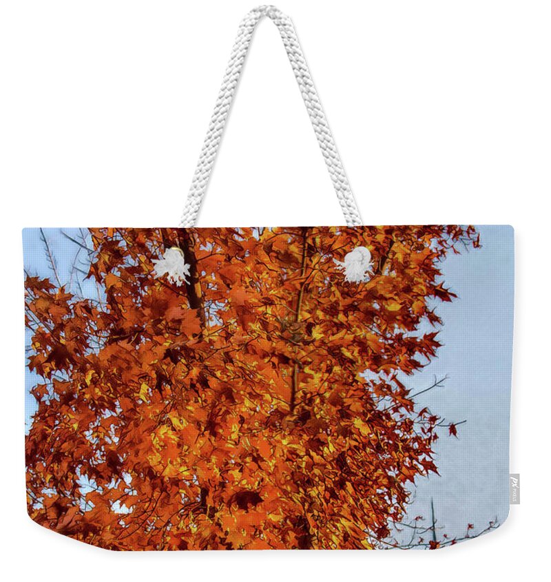 Fall Weekender Tote Bag featuring the photograph Autumns Grace by Tammy Bryant